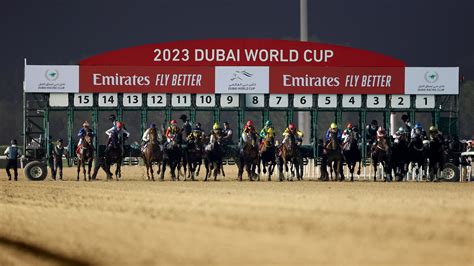 Meydan Tips .
